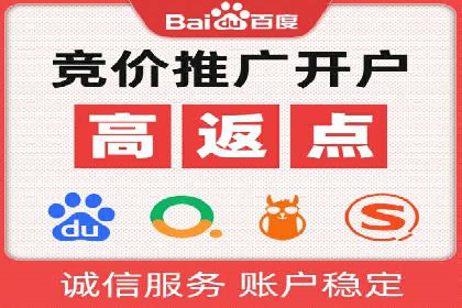 SEM代运营公司案例分析报告