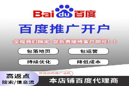 SEM竞价优化策略：成功案例解析